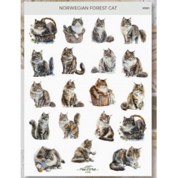 Autocollants chat norvégien